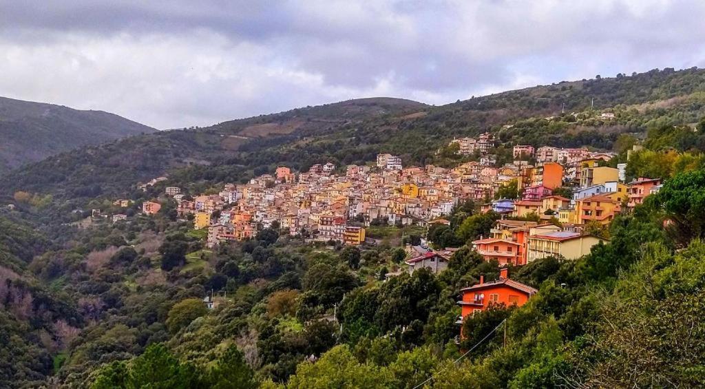New! La Ginestra,Casa Vacanze Bifamiliare In Montagna-Seulo Sardegna Esterno foto