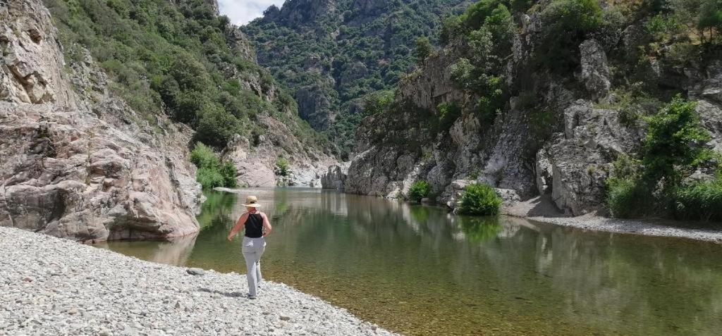 New! La Ginestra,Casa Vacanze Bifamiliare In Montagna-Seulo Sardegna Esterno foto